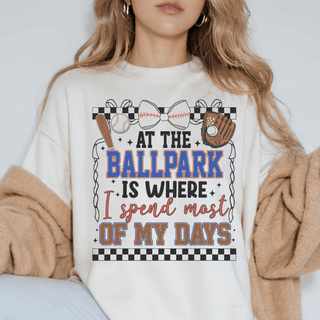At The Ballpark Is Where I Spend Most Of My Days Comfort Colors Tee